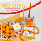 Felt Ball Garland